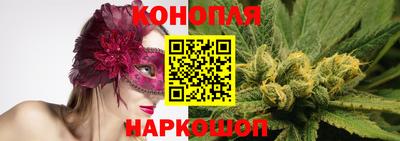 mdpv Обнинск