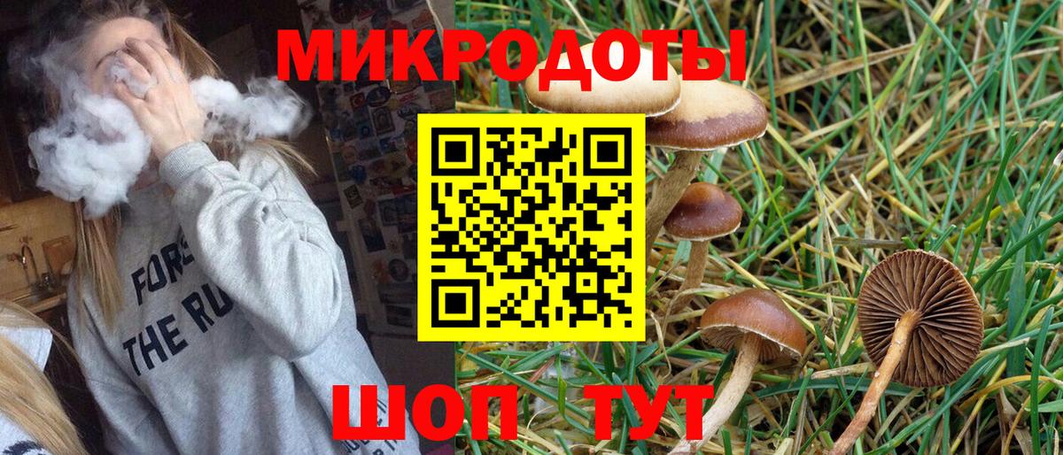 Псилоцибиновые грибы Magic Shrooms  Вход с VPN  Ростов-на-Дону 